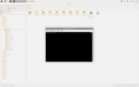 Installieren von Kodi